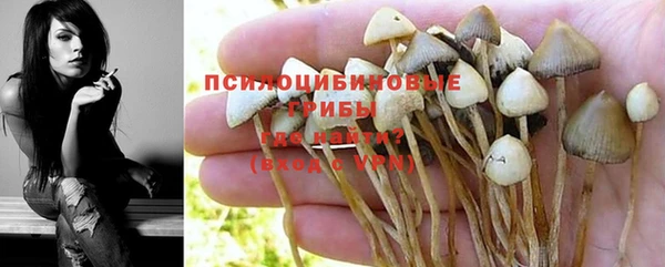 a pvp Богородск