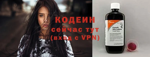 гидра Бородино