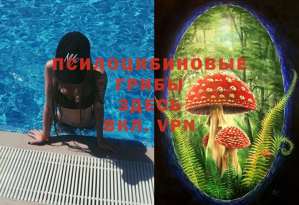 гидра Бородино